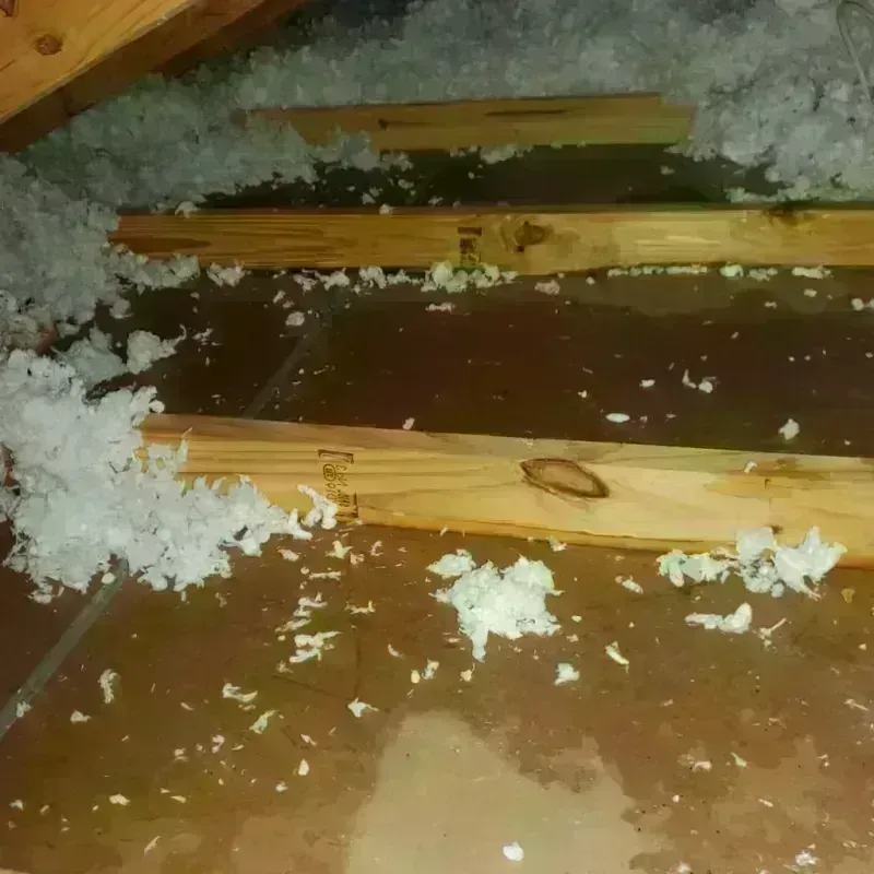 Attic Water Damage in Claiborne, LA