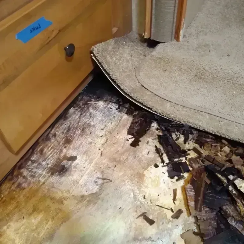 Wood Floor Water Damage in Claiborne, LA